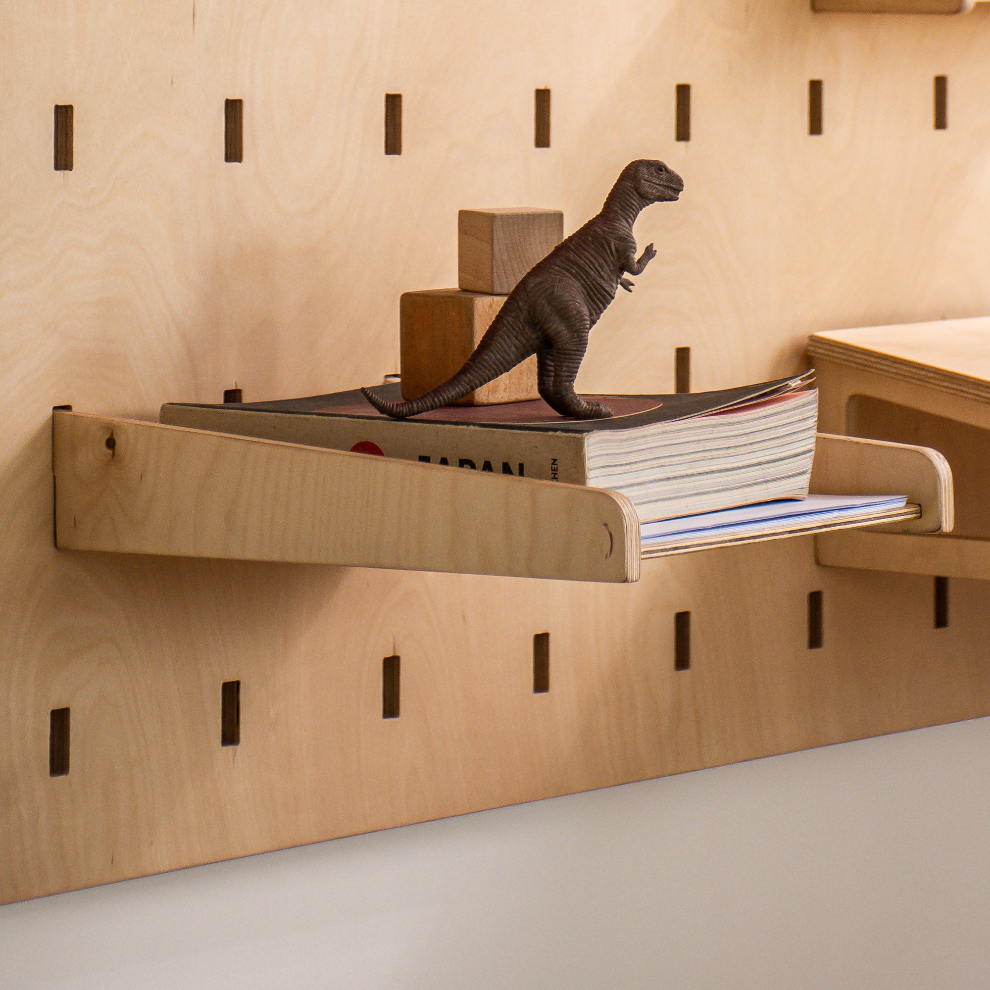 Paper Tray